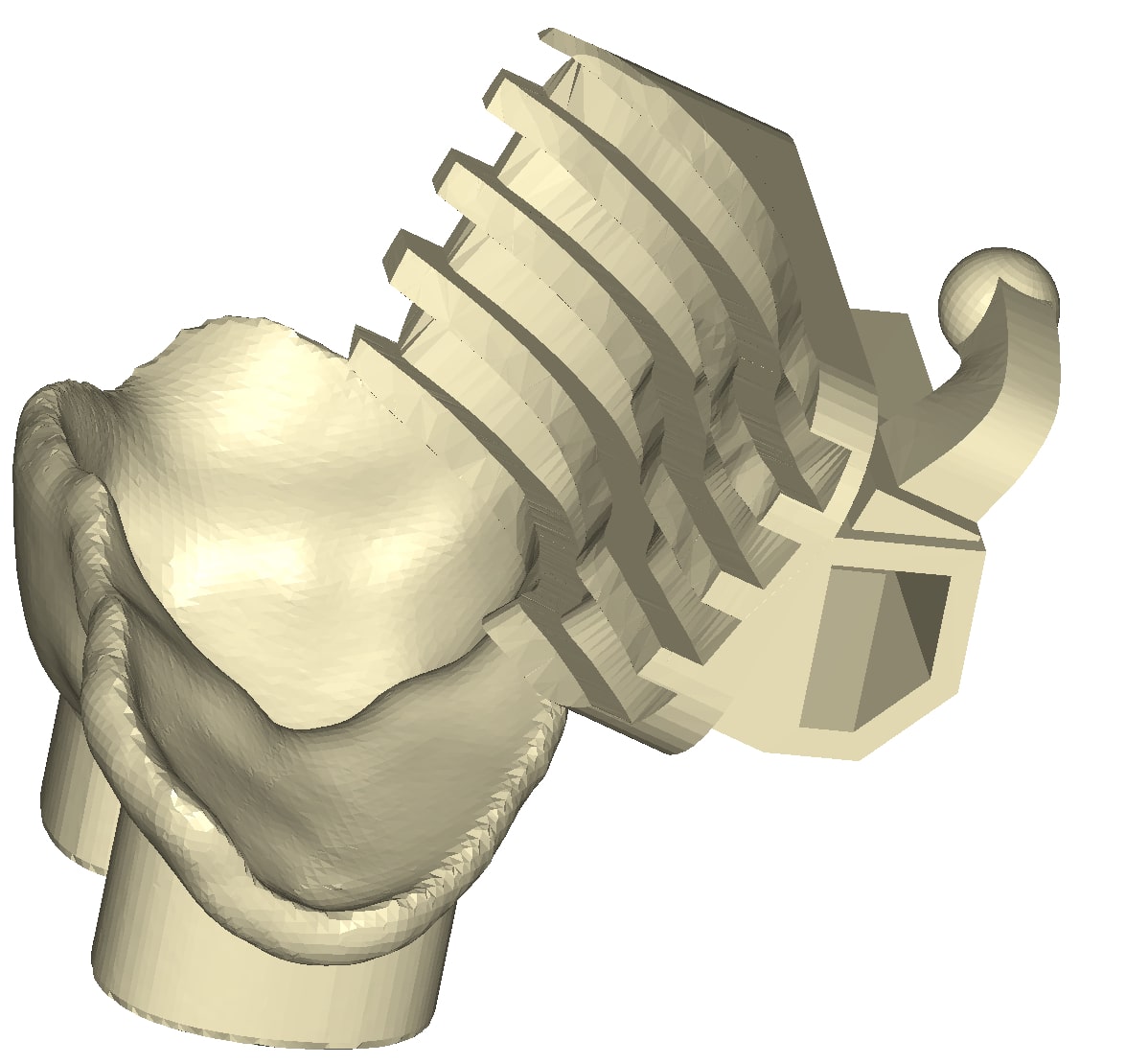 Automatic creation of the base to perfectly match the shape of the tooth