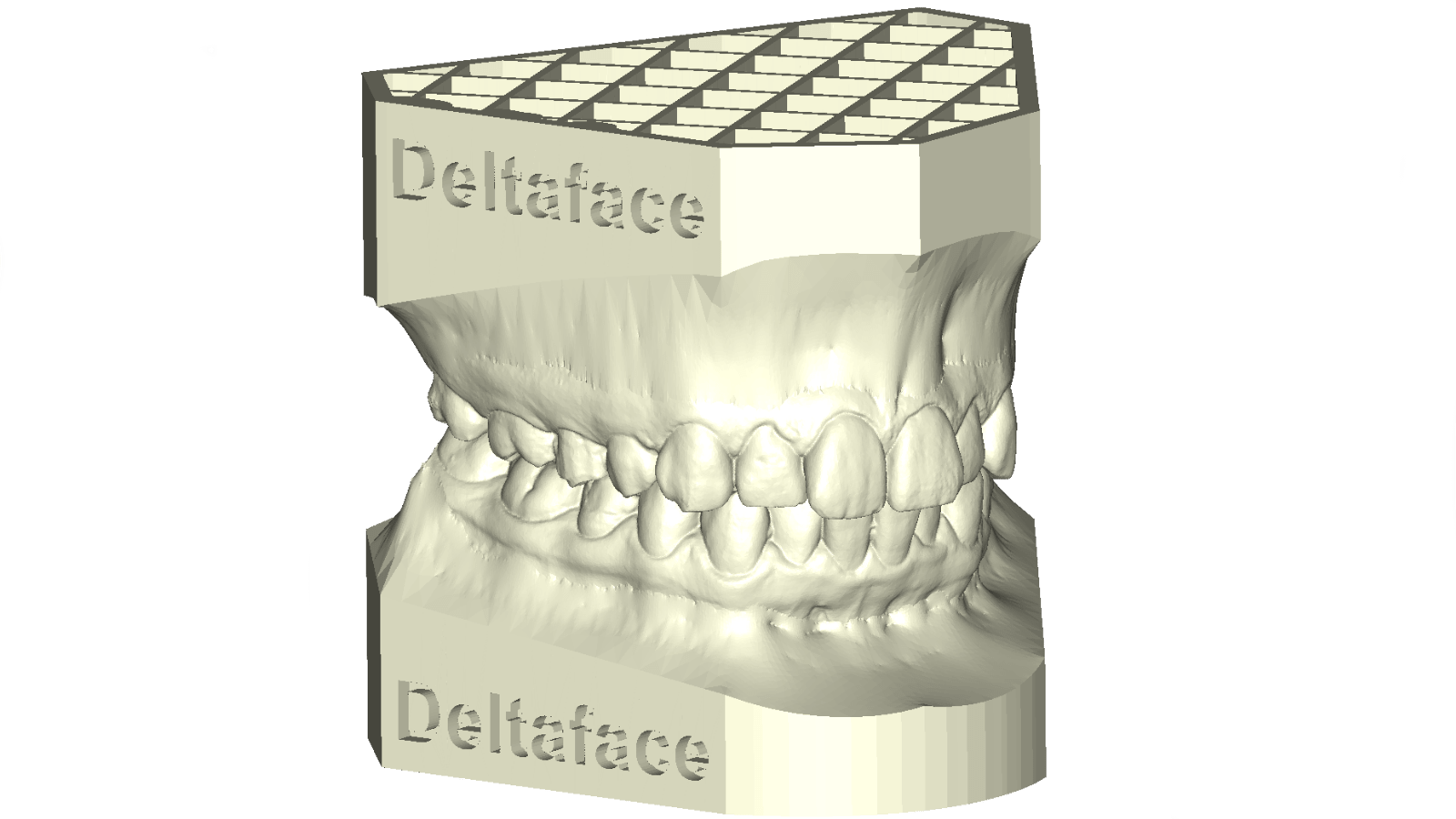 3D model creation deltaface arch base