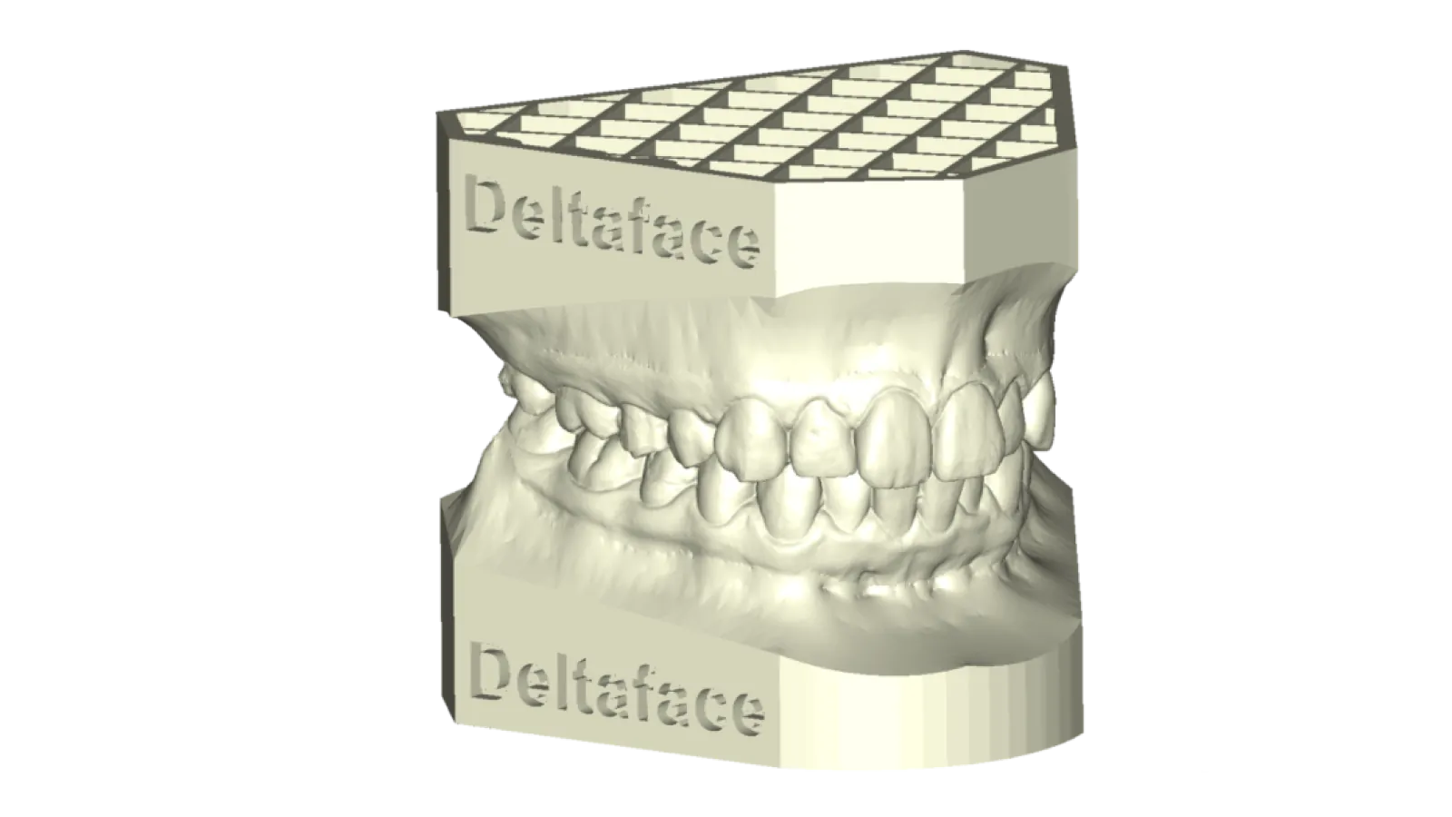 3D model creation deltaface arch base