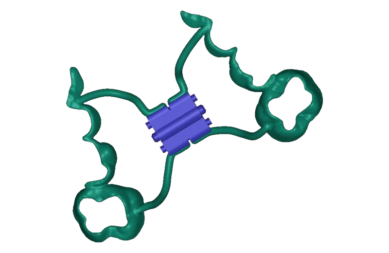 Rapid palatal expander designed with Deltaface